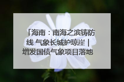 海南：南海之滨铸防线 气象长城护琼崖｜增发国债气象项目落地见效系列报道