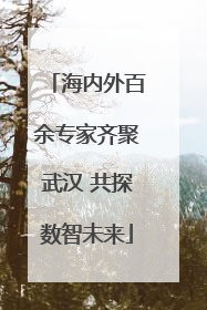 海内外百余专家齐聚武汉 共探数智未来