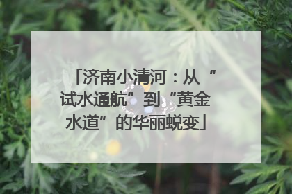 济南小清河：从“试水通航”到“黄金水道”的华丽蜕变