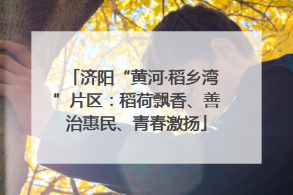 济阳“黄河·稻乡湾”片区：稻荷飘香、善治惠民、青春激扬
