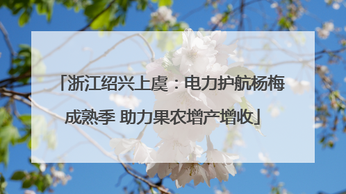 浙江绍兴上虞：电力护航杨梅成熟季 助力果农增产增收