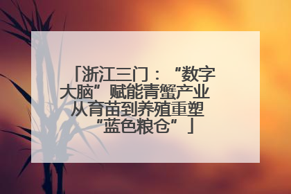 浙江三门：“数字大脑”赋能青蟹产业 从育苗到养殖重塑“蓝色粮仓”