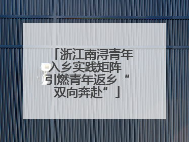 浙江南浔青年入乡实践矩阵 引燃青年返乡“双向奔赴”