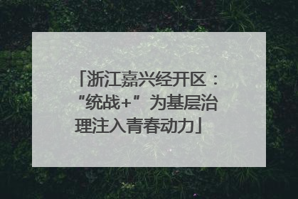 浙江嘉兴经开区：“统战+”为基层治理注入青春动力