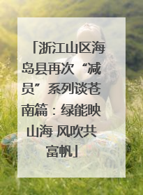 浙江山区海岛县再次“减员”系列谈苍南篇：绿能映山海 风吹共富帆