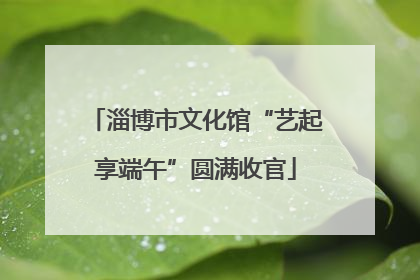 淄博市文化馆“艺起享端午”圆满收官