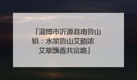 淄博市沂源县南鲁山镇：水墨鲁山艾韵浓 艾草飘香共富路
