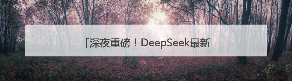 深夜重磅！DeepSeek最新发布，首批“试用体验”出炉→