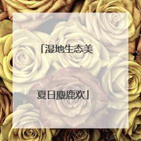 湿地生态美 夏日麋鹿欢
