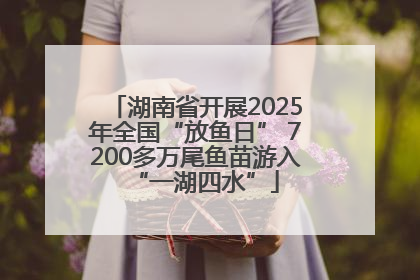湖南省开展2025年全国“放鱼日” 7200多万尾鱼苗游入“一湖四水”