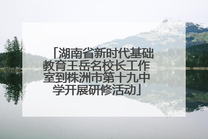 湖南省新时代基础教育王岳名校长工作室到株洲市第十九中学开展研修活动