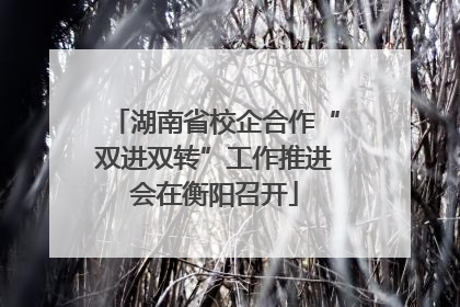 湖南省校企合作“双进双转”工作推进会在衡阳召开