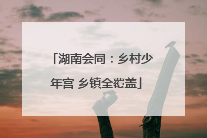 湖南会同：乡村少年宫 乡镇全覆盖
