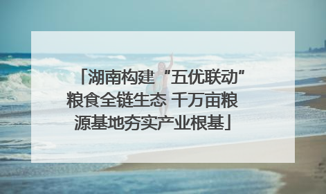 湖南构建“五优联动”粮食全链生态 千万亩粮源基地夯实产业根基