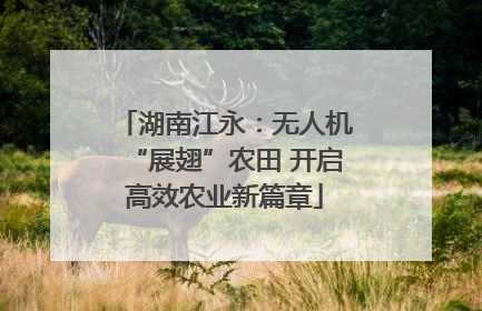 湖南江永：无人机“展翅”农田 开启高效农业新篇章