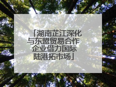 湖南芷江深化与东盟贸易合作 企业借力国际陆港拓市场