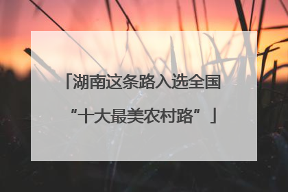 湖南这条路入选全国“十大最美农村路”