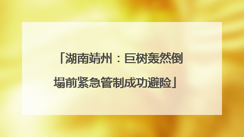 湖南靖州：巨树轰然倒塌前紧急管制成功避险