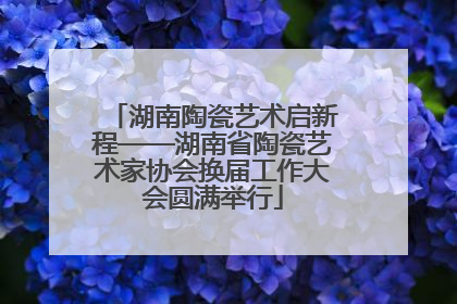 湖南陶瓷艺术启新程——湖南省陶瓷艺术家协会换届工作大会圆满举行