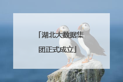 湖北大数据集团正式成立
