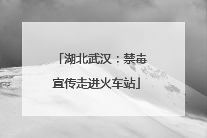 湖北武汉：禁毒宣传走进火车站