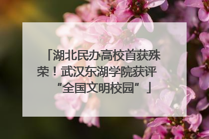湖北民办高校首获殊荣！武汉东湖学院获评“全国文明校园”