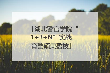 湖北警官学院“1+3+N”实战育警硕果盈枝