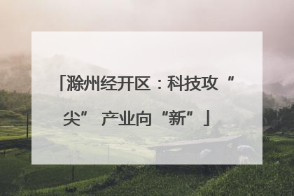 滁州经开区：科技攻“尖” 产业向“新”