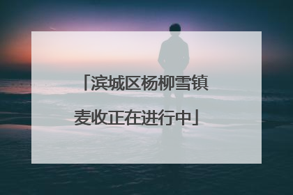 滨城区杨柳雪镇麦收正在进行中
