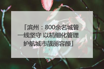 滨州：800余名城管一线坚守 以精细化管理护航城市靓丽容颜