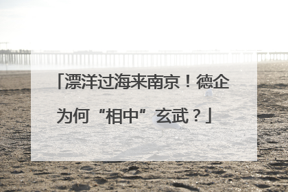 漂洋过海来南京！德企为何“相中”玄武？