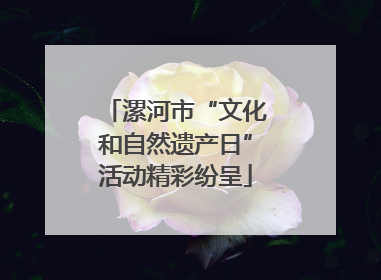 漯河市“文化和自然遗产日”活动精彩纷呈