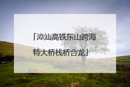 漳汕高铁东山跨海特大桥栈桥合龙