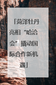 菏泽牡丹亮相“哈洽会”撬动国际合作新机遇