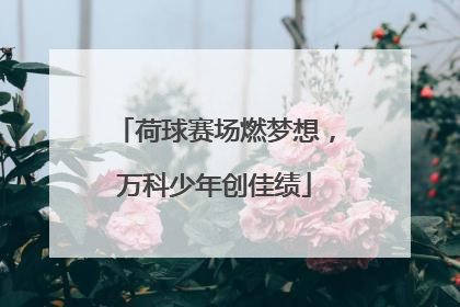 荷球赛场燃梦想，万科少年创佳绩
