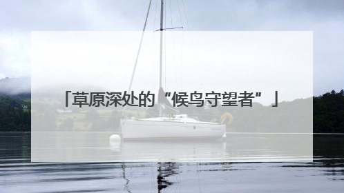 草原深处的“候鸟守望者”