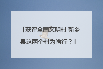 获评全国文明村 新乡县这两个村为啥行？