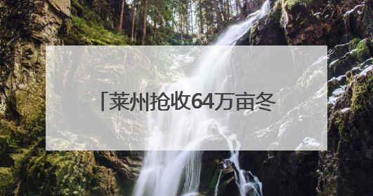 莱州抢收64万亩冬小麦 投入小麦联合收割机1500台