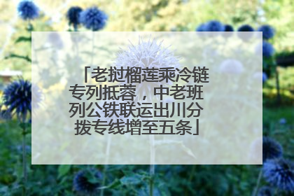 老挝榴莲乘冷链专列抵蓉，中老班列公铁联运出川分拨专线增至五条