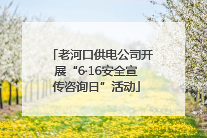 老河口供电公司开展“6·16安全宣传咨询日”活动