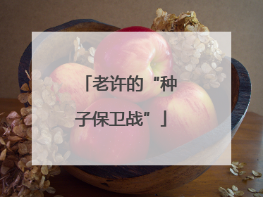 老许的“种子保卫战”