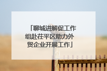 聊城进解促工作组赴茌平区助力外贸企业开展工作