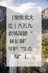 聚焦北大荒｜八五九农场深耕“林长制” 守护“生态绿”