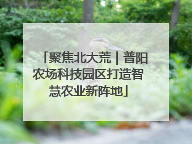 聚焦北大荒｜普阳农场科技园区打造智慧农业新阵地