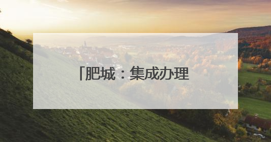 肥城：集成办理 疏通社会组织年检换届换证堵点、难点