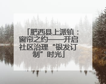 肥西县上派镇：窗帘之约——开启社区治理“银发订制”时光