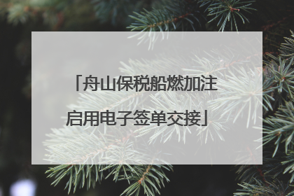 舟山保税船燃加注启用电子签单交接