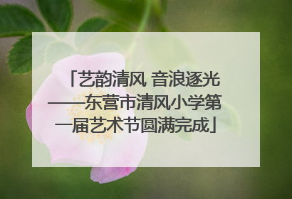 艺韵清风 音浪逐光——东营市清风小学第一届艺术节圆满完成