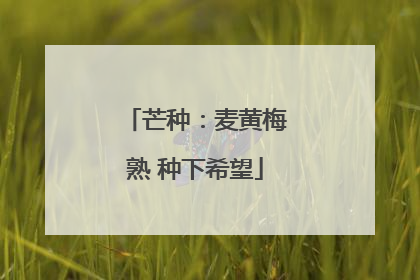 芒种：麦黄梅熟 种下希望