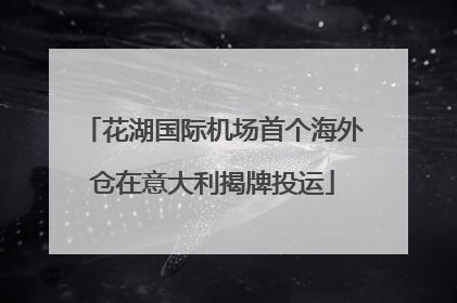 花湖国际机场首个海外仓在意大利揭牌投运
